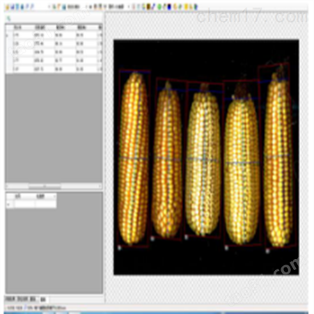 玉米考种分析系统