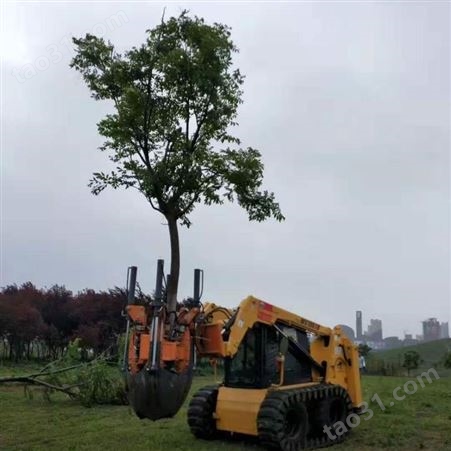  泰亨移树机 带土球移树机  C80型挖树机