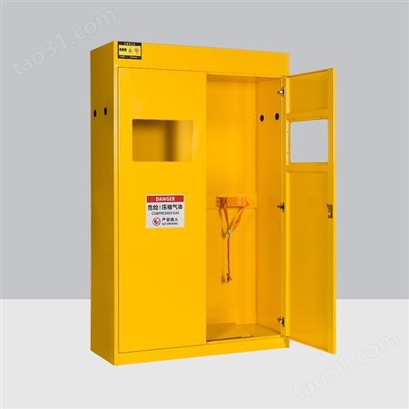 氮气氧气氩气存储柜 供应防爆型气瓶柜 单双瓶气瓶柜