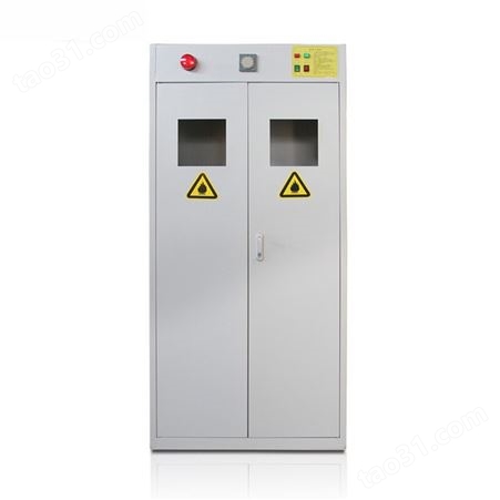 钢制气瓶柜 单气瓶柜双气瓶柜 西安实验室气瓶柜支持定制