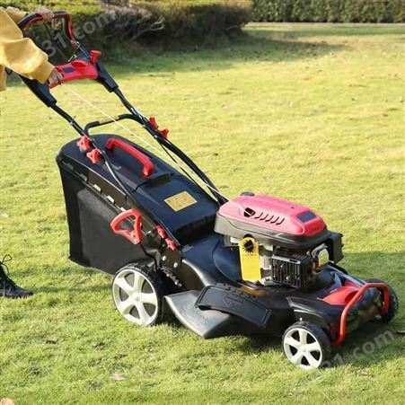 立安草坪整理机器 手推式草坪机 汽油草坪剪草机