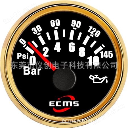 仪创 ECMS 800-00049 指针式压力表显示仪表