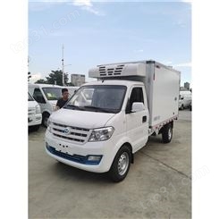 阳江瑞驰新能源EC31冷藏车销售