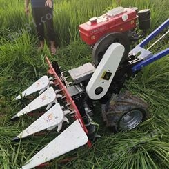 新疆苜蓿草收割机 云南水稻收割机型号