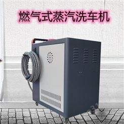 商用蒸汽洗车机 便携式高压清洗机 蓝江移动洗车设备