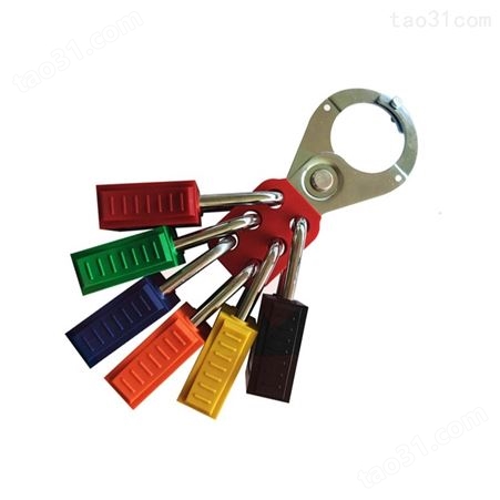 铂铒盾PATRON 安全挂锁上锁挂牌锁具11215蓝色不同花钥匙塑料锁体