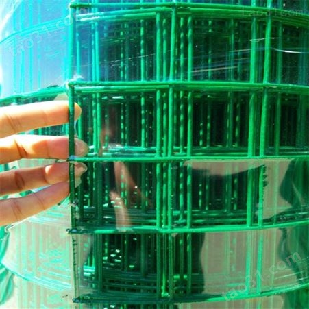 荷兰网厂家 绿色养鸡围栏网 供应野鸡养殖网 加工定做荷兰网