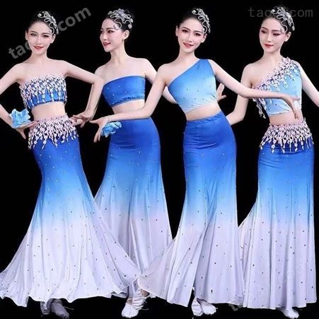 中国古典民族舞蹈服艺术节晚会等服饰租赁