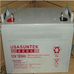 USASUNTEK蓄电池UD17-12 美国国际12V17AH 高低压应急电源配套