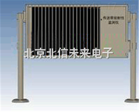 BXS05-NPM-24传送带放射性监测仪 放射性分析仪 放射性检测仪